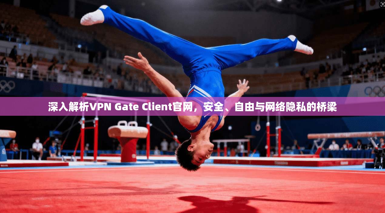深入解析VPN Gate Client官网，安全、自由与网络隐私的桥梁  第1张