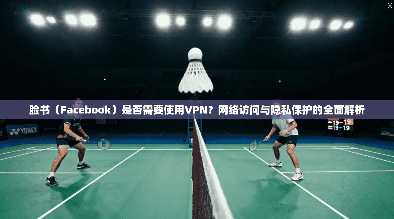 脸书（Facebook）是否需要使用VPN？网络访问与隐私保护的全面解析  第1张