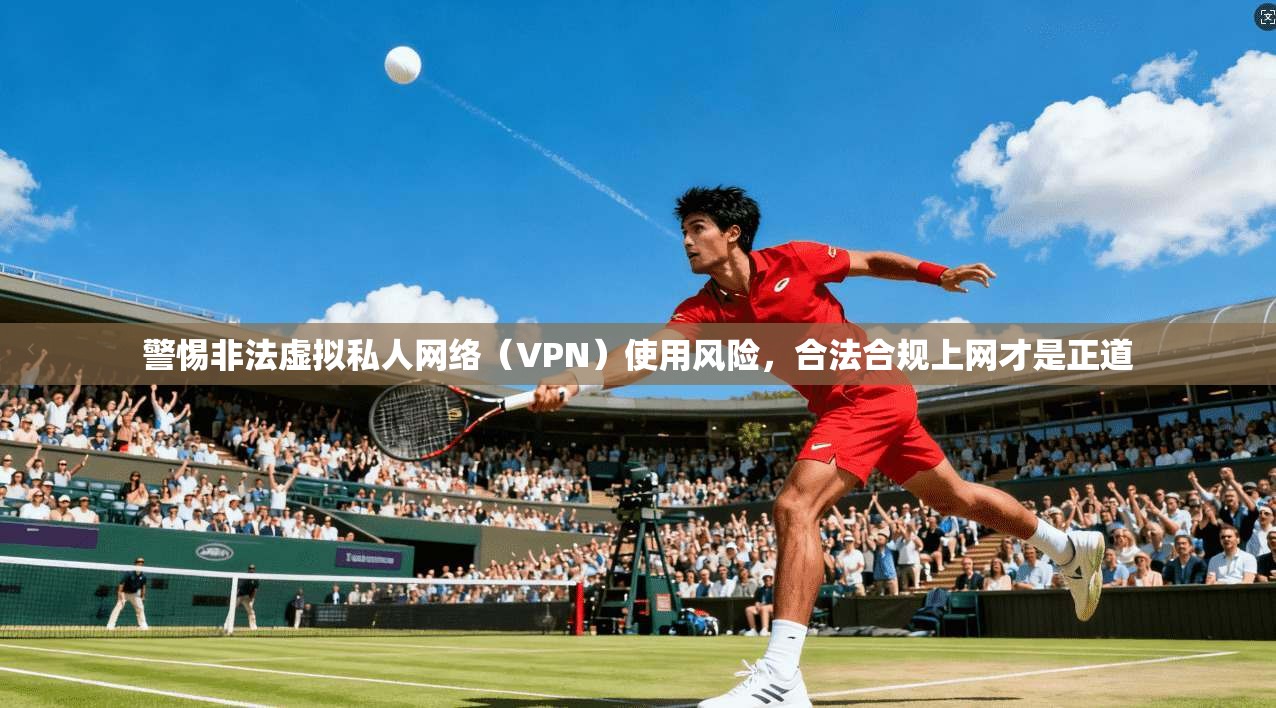 警惕非法虚拟私人网络（VPN）使用风险，合法合规上网才是正道  第1张