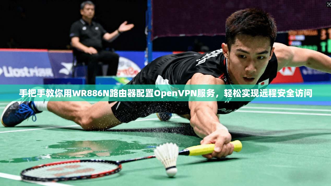 手把手教你用WR886N路由器配置OpenVPN服务，轻松实现远程安全访问  第1张