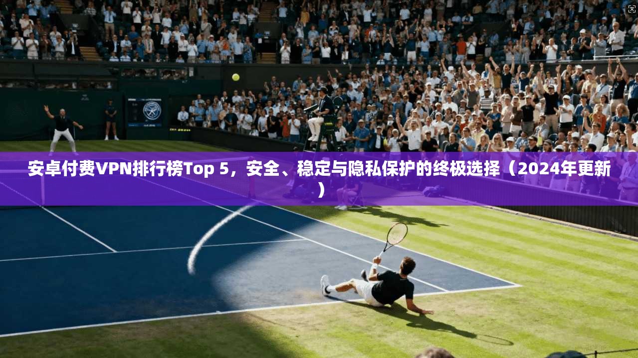 安卓付费VPN排行榜Top 5，安全、稳定与隐私保护的终极选择（2024年更新）  第1张