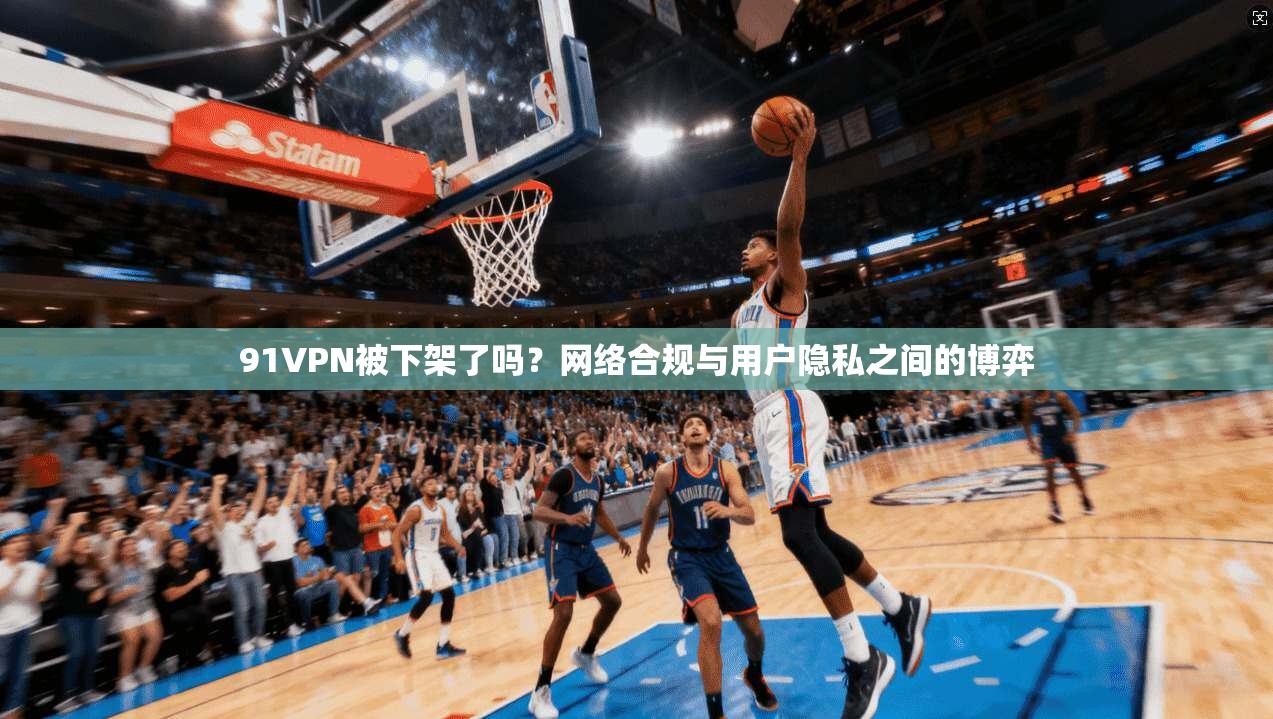91VPN被下架了吗？网络合规与用户隐私之间的博弈  第1张