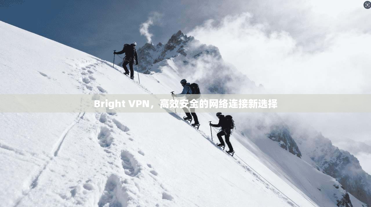 Bright VPN，高效安全的网络连接新选择  第1张