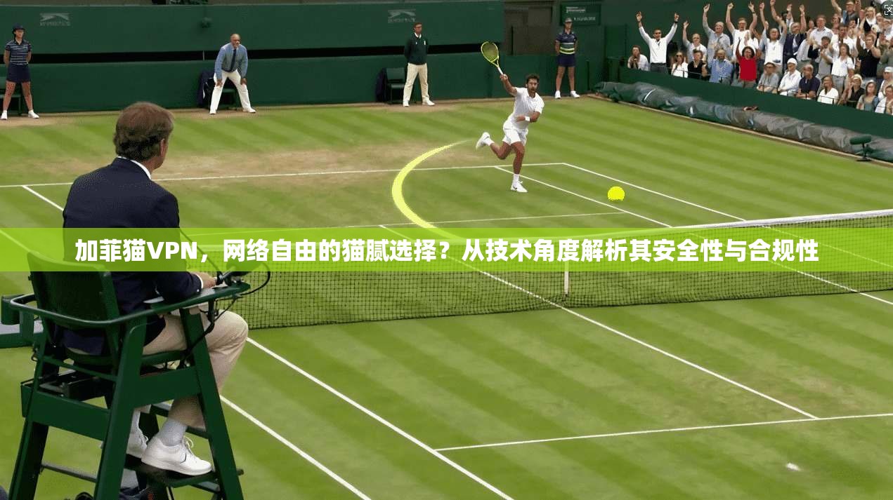 加菲猫VPN，网络自由的猫腻选择？从技术角度解析其安全性与合规性  第1张