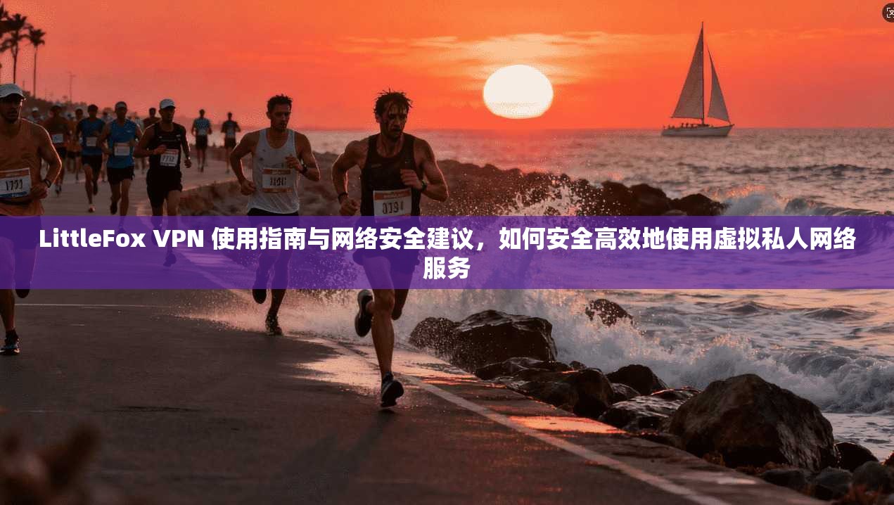 LittleFox VPN 使用指南与网络安全建议，如何安全高效地使用虚拟私人网络服务  第1张