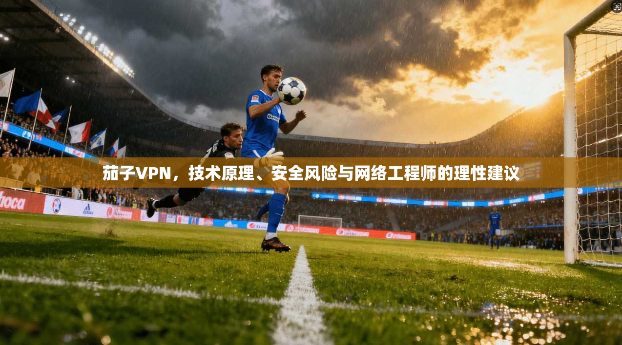 茄子VPN，技术原理、安全风险与网络工程师的理性建议  第1张