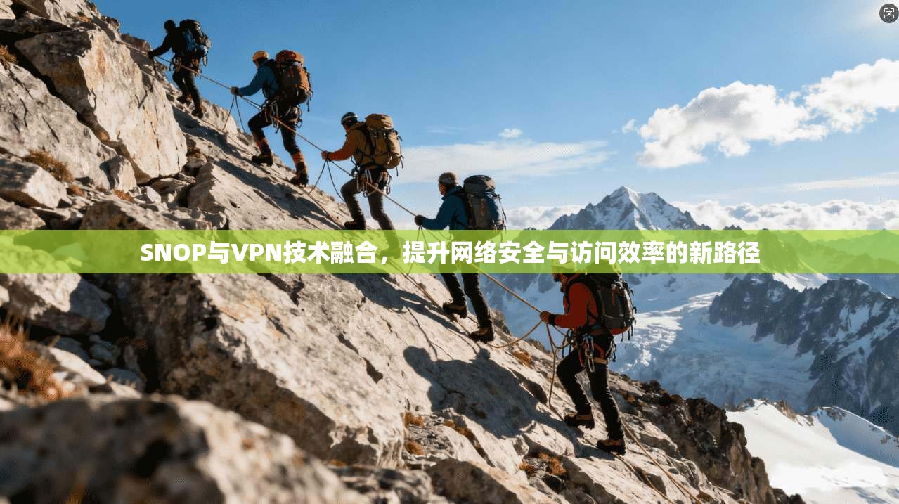 SNOP与VPN技术融合，提升网络安全与访问效率的新路径  第1张