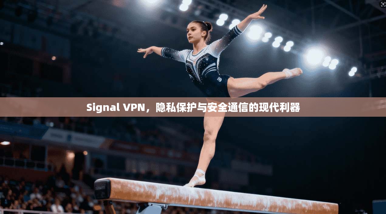 Signal VPN，隐私保护与安全通信的现代利器  第1张