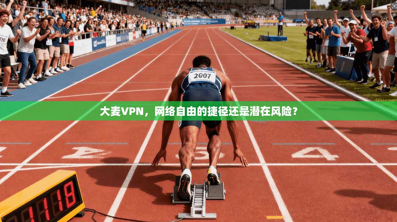 大麦VPN，网络自由的捷径还是潜在风险？  第1张