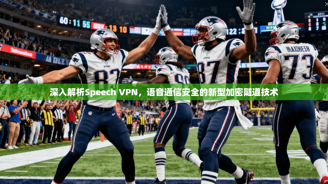 深入解析Speech VPN，语音通信安全的新型加密隧道技术  第1张