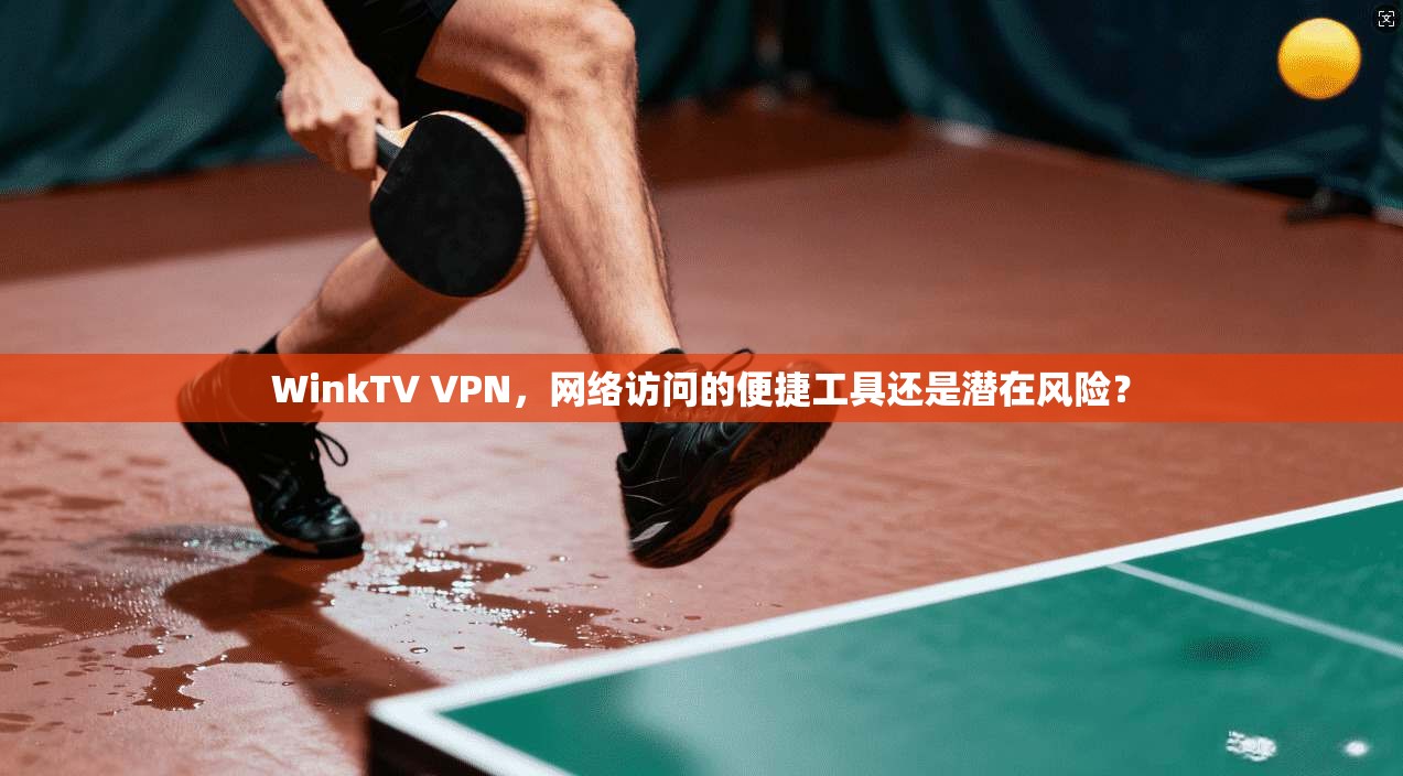 WinkTV VPN，网络访问的便捷工具还是潜在风险？  第1张