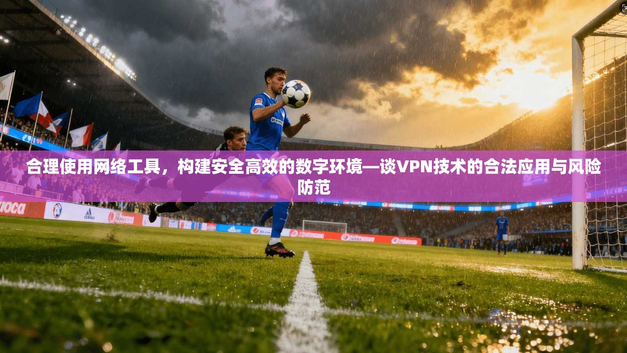 合理使用网络工具，构建安全高效的数字环境—谈VPN技术的合法应用与风险防范  第1张