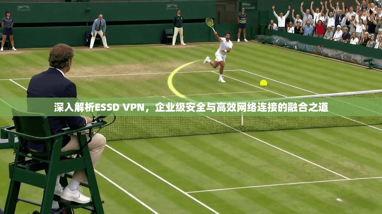 深入解析ESSD VPN，企业级安全与高效网络连接的融合之道  第1张
