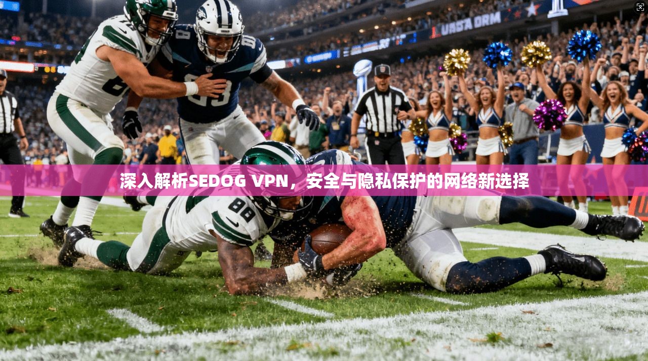深入解析SEDOG VPN，安全与隐私保护的网络新选择  第1张