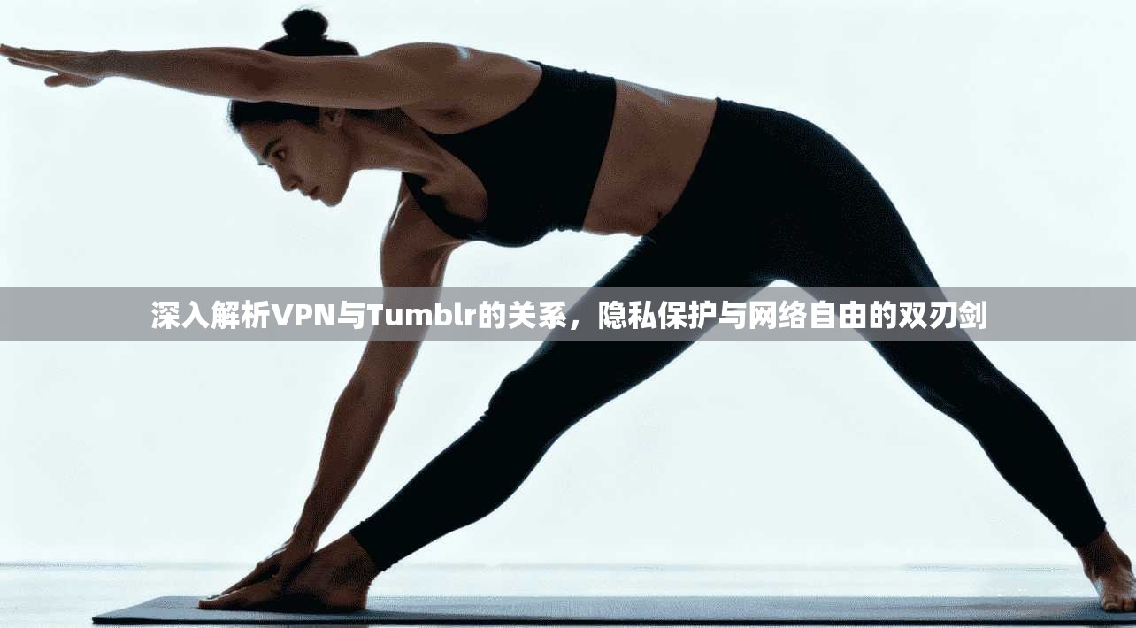 深入解析VPN与Tumblr的关系，隐私保护与网络自由的双刃剑  第1张