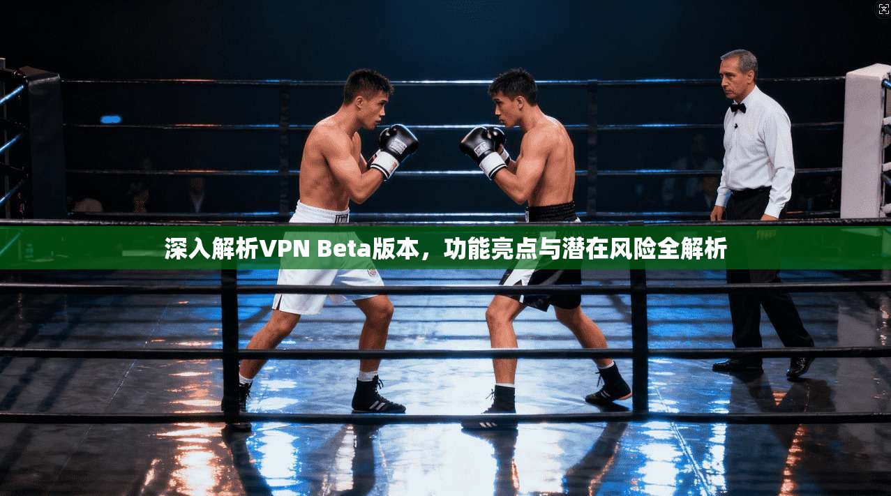 深入解析VPN Beta版本，功能亮点与潜在风险全解析  第1张