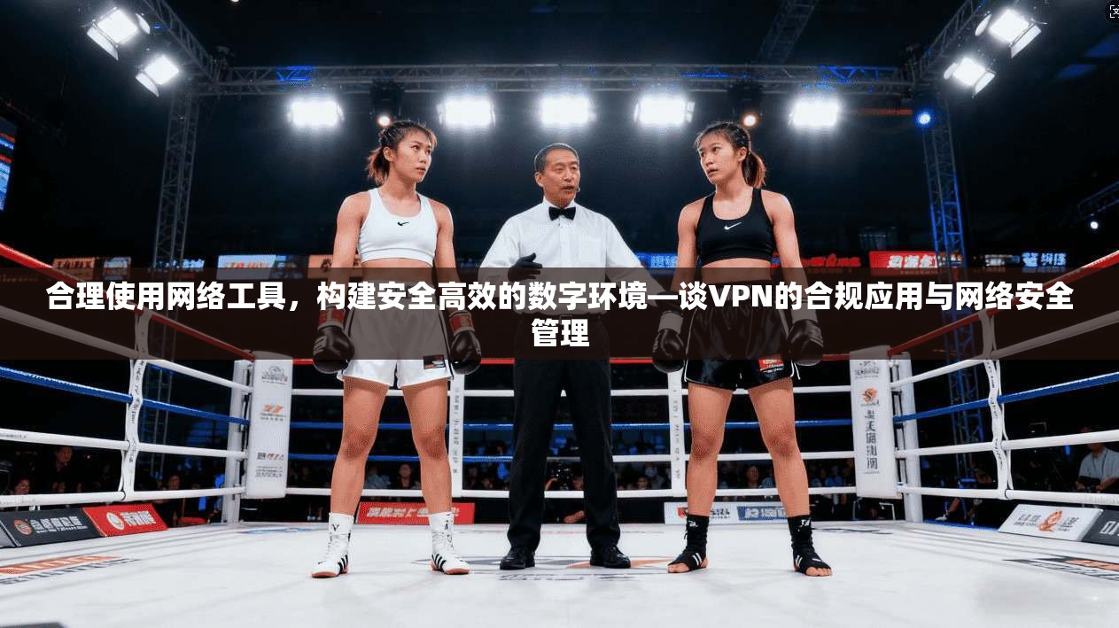 合理使用网络工具，构建安全高效的数字环境—谈VPN的合规应用与网络安全管理  第1张