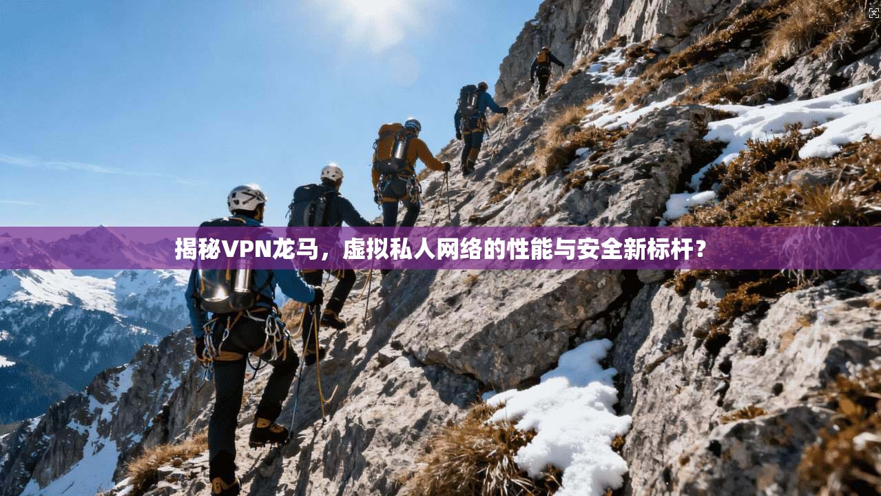 揭秘VPN龙马，虚拟私人网络的性能与安全新标杆？  第1张