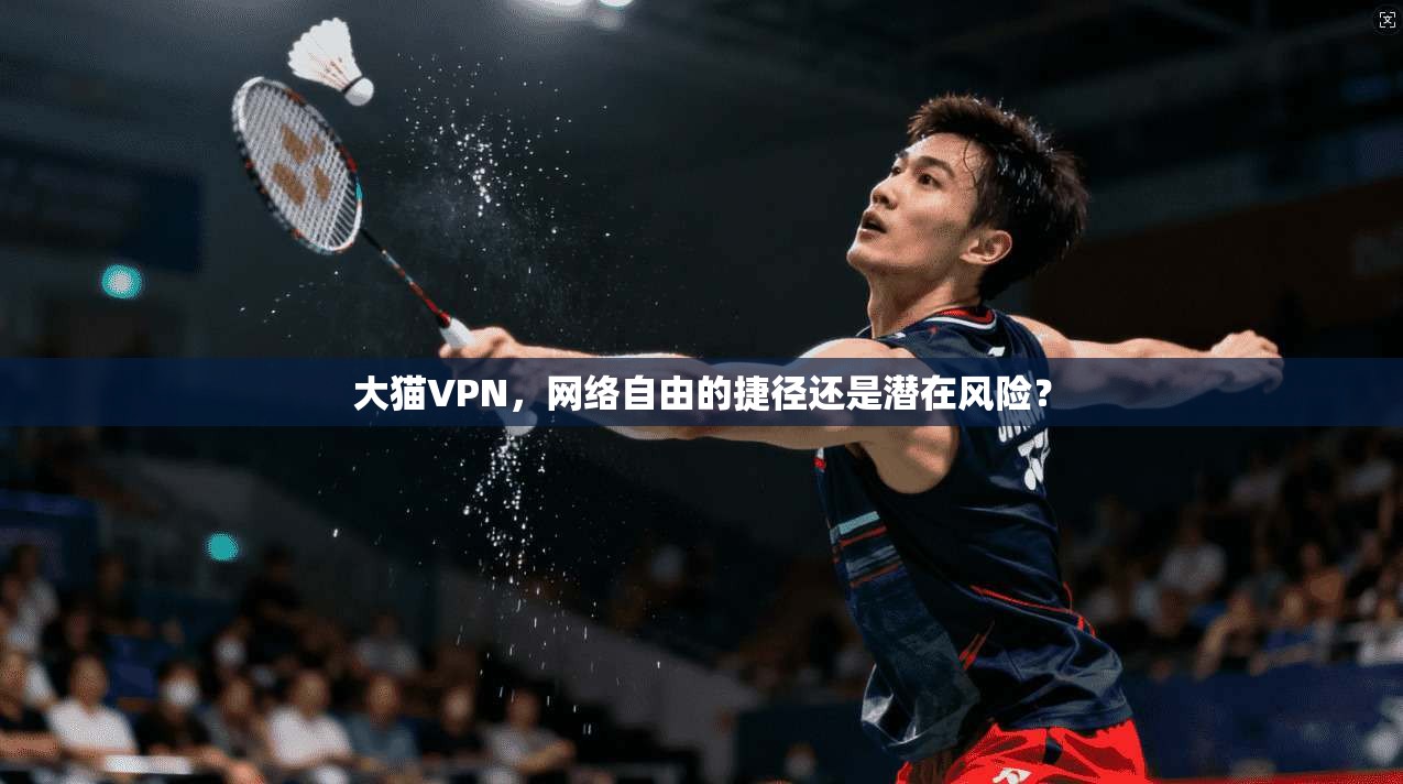 大猫VPN，网络自由的捷径还是潜在风险？  第1张