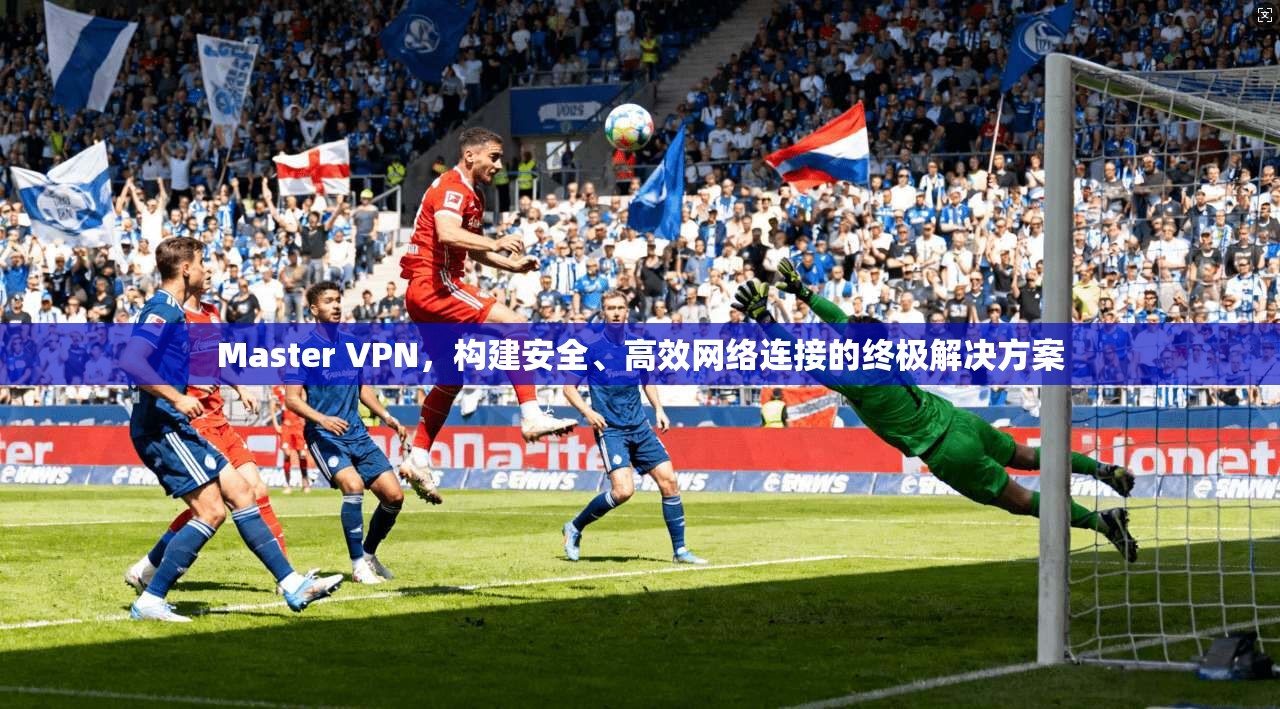 Master VPN，构建安全、高效网络连接的终极解决方案  第1张