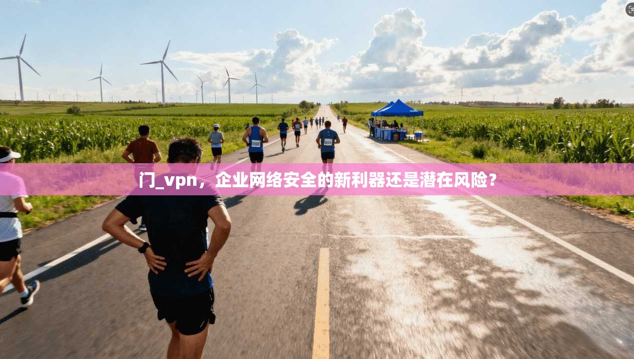 门_vpn，企业网络安全的新利器还是潜在风险？  第1张