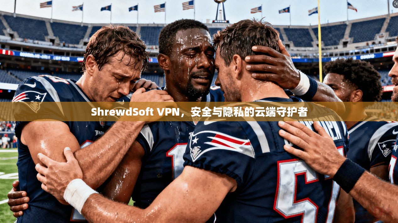 ShrewdSoft VPN，安全与隐私的云端守护者  第1张
