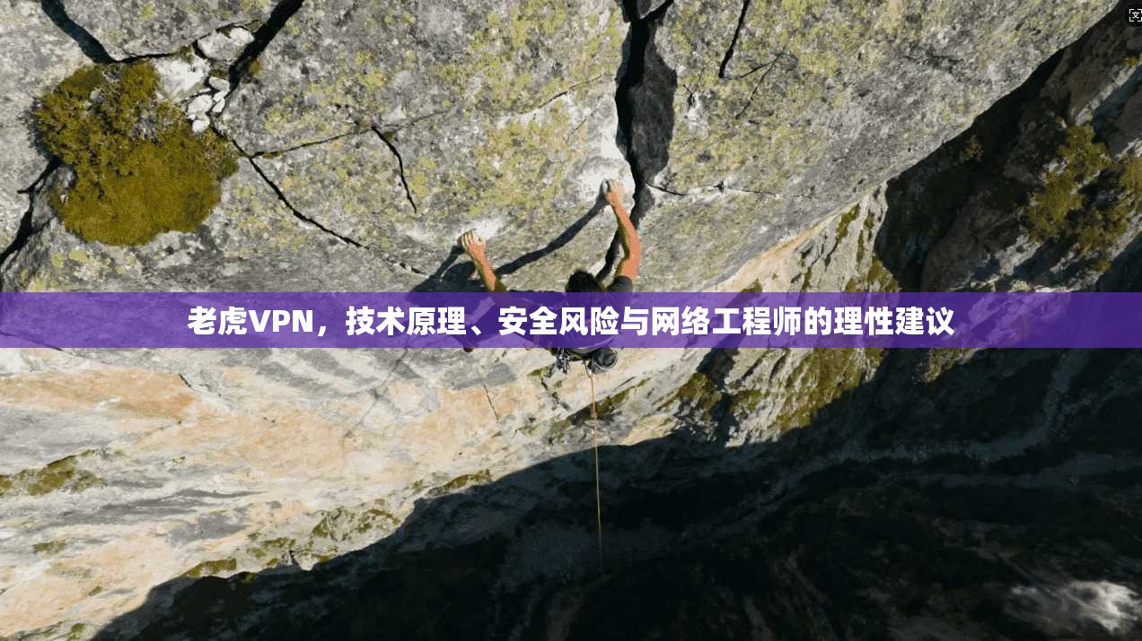 老虎VPN，技术原理、安全风险与网络工程师的理性建议  第1张
