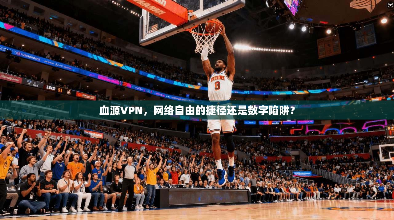 血源VPN，网络自由的捷径还是数字陷阱？  第1张