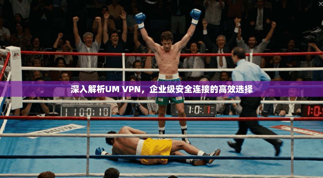深入解析UM VPN，企业级安全连接的高效选择  第1张