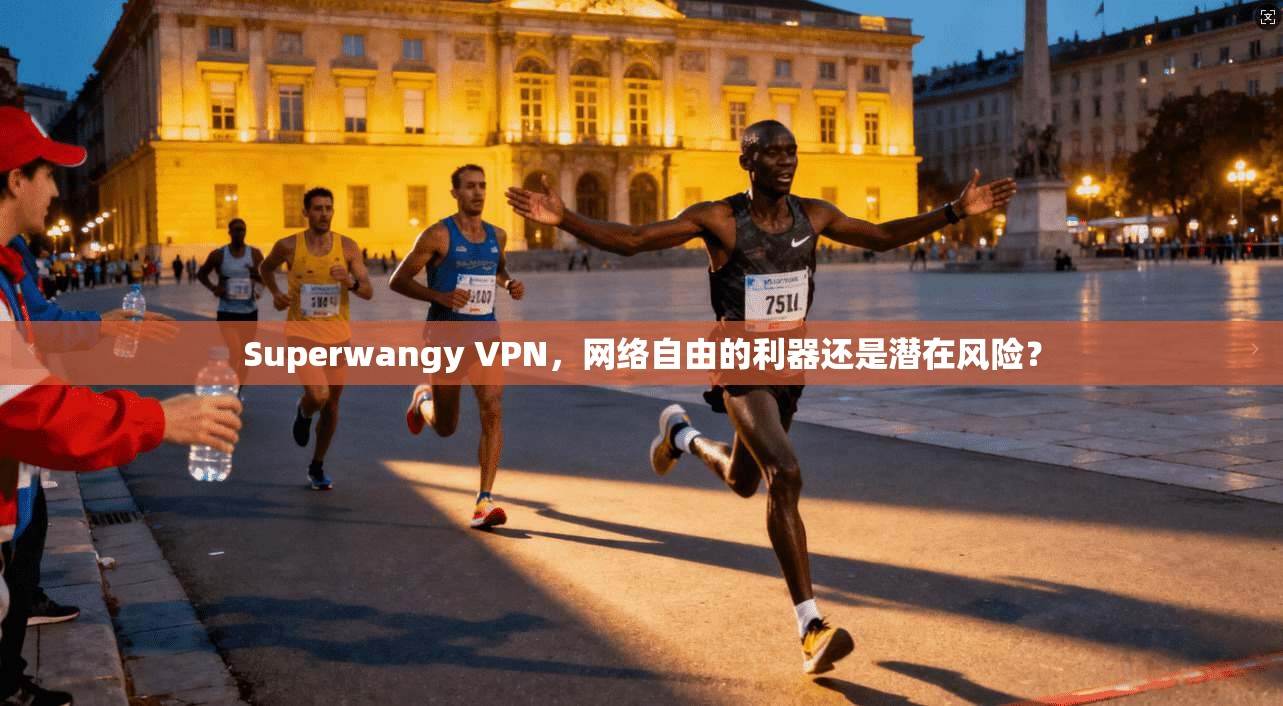 Superwangy VPN，网络自由的利器还是潜在风险？  第1张