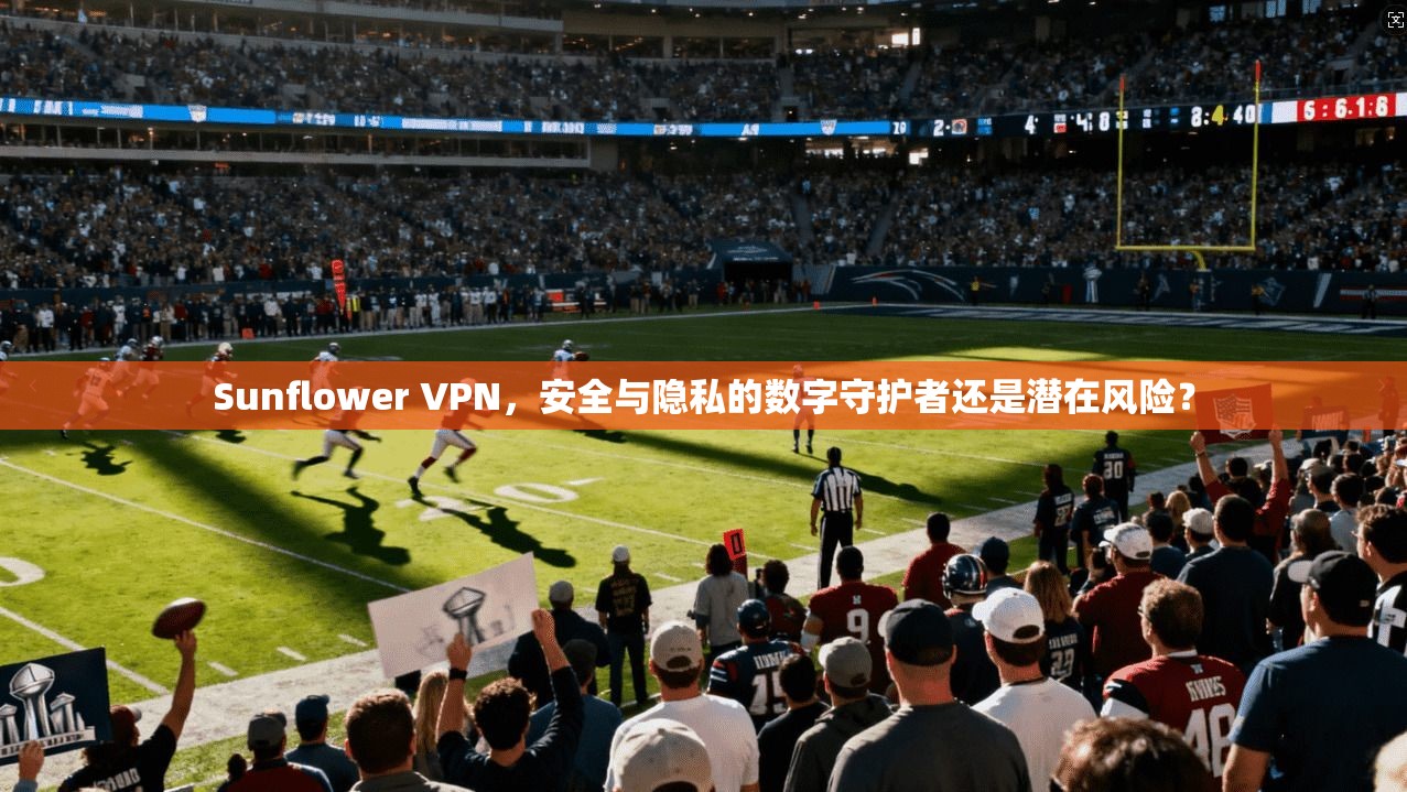 Sunflower VPN，安全与隐私的数字守护者还是潜在风险？  第1张