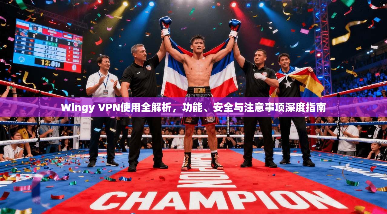 Wingy VPN使用全解析，功能、安全与注意事项深度指南  第1张