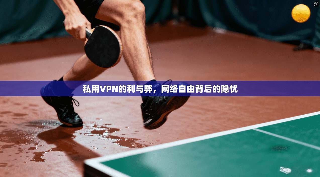 私用VPN的利与弊，网络自由背后的隐忧  第1张