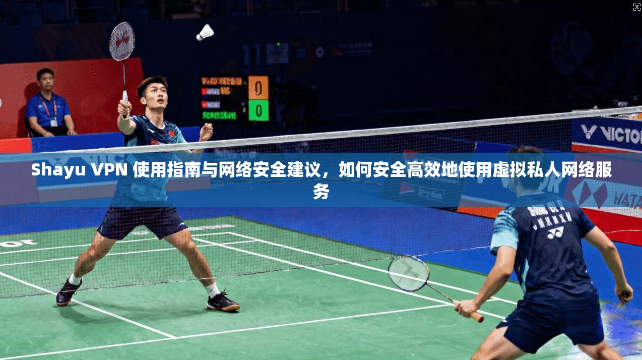 Shayu VPN 使用指南与网络安全建议，如何安全高效地使用虚拟私人网络服务  第1张