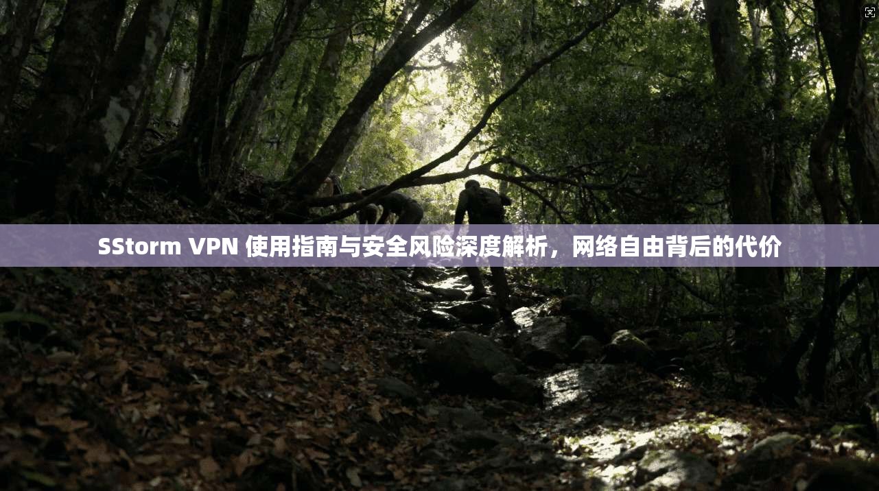 SStorm VPN 使用指南与安全风险深度解析，网络自由背后的代价  第1张