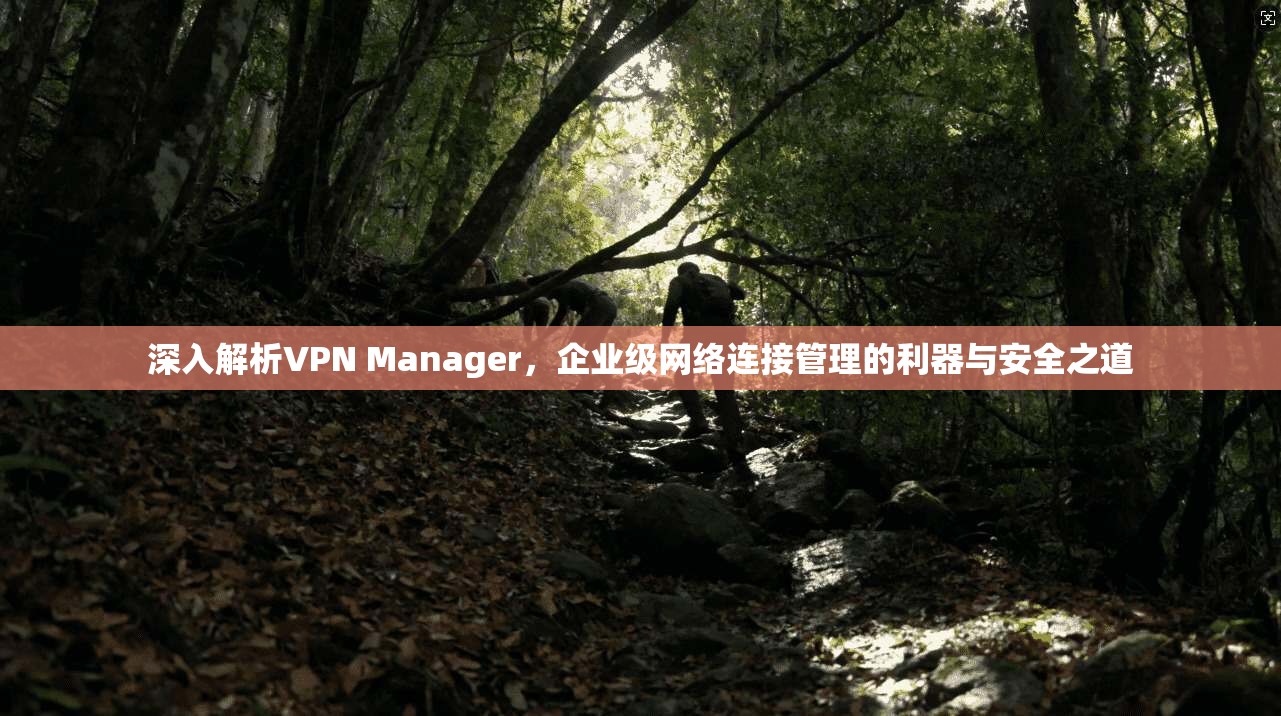 深入解析VPN Manager，企业级网络连接管理的利器与安全之道  第1张