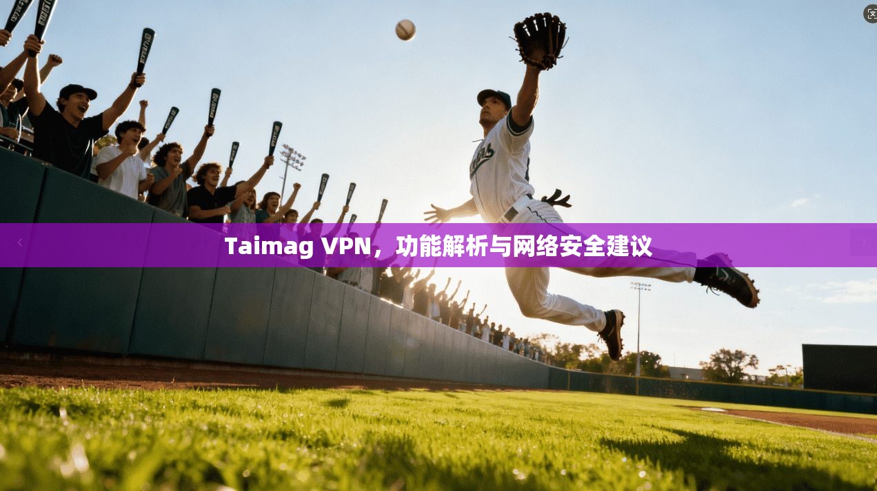 Taimag VPN，功能解析与网络安全建议  第1张