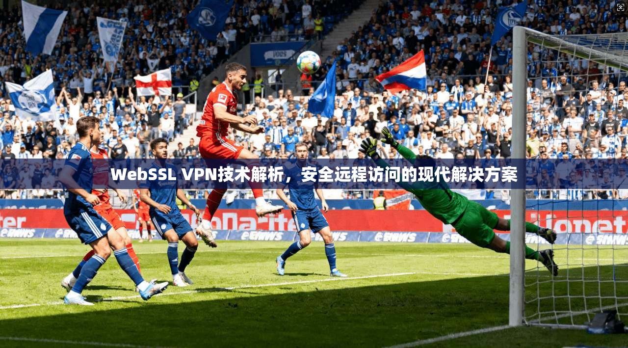 WebSSL VPN技术解析，安全远程访问的现代解决方案  第1张