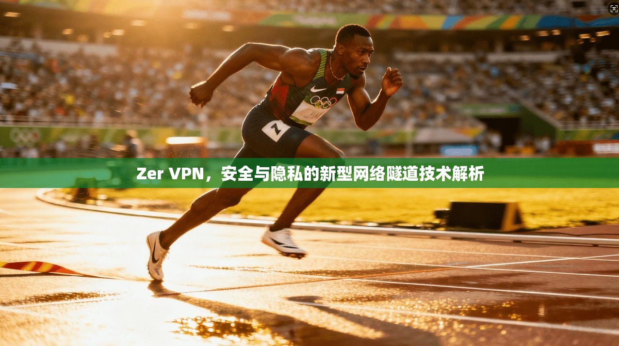 Zer VPN，安全与隐私的新型网络隧道技术解析  第1张