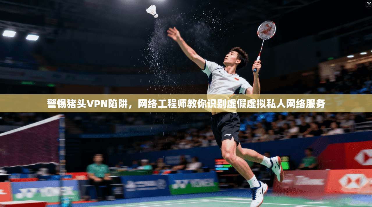 警惕猪头VPN陷阱，网络工程师教你识别虚假虚拟私人网络服务  第1张