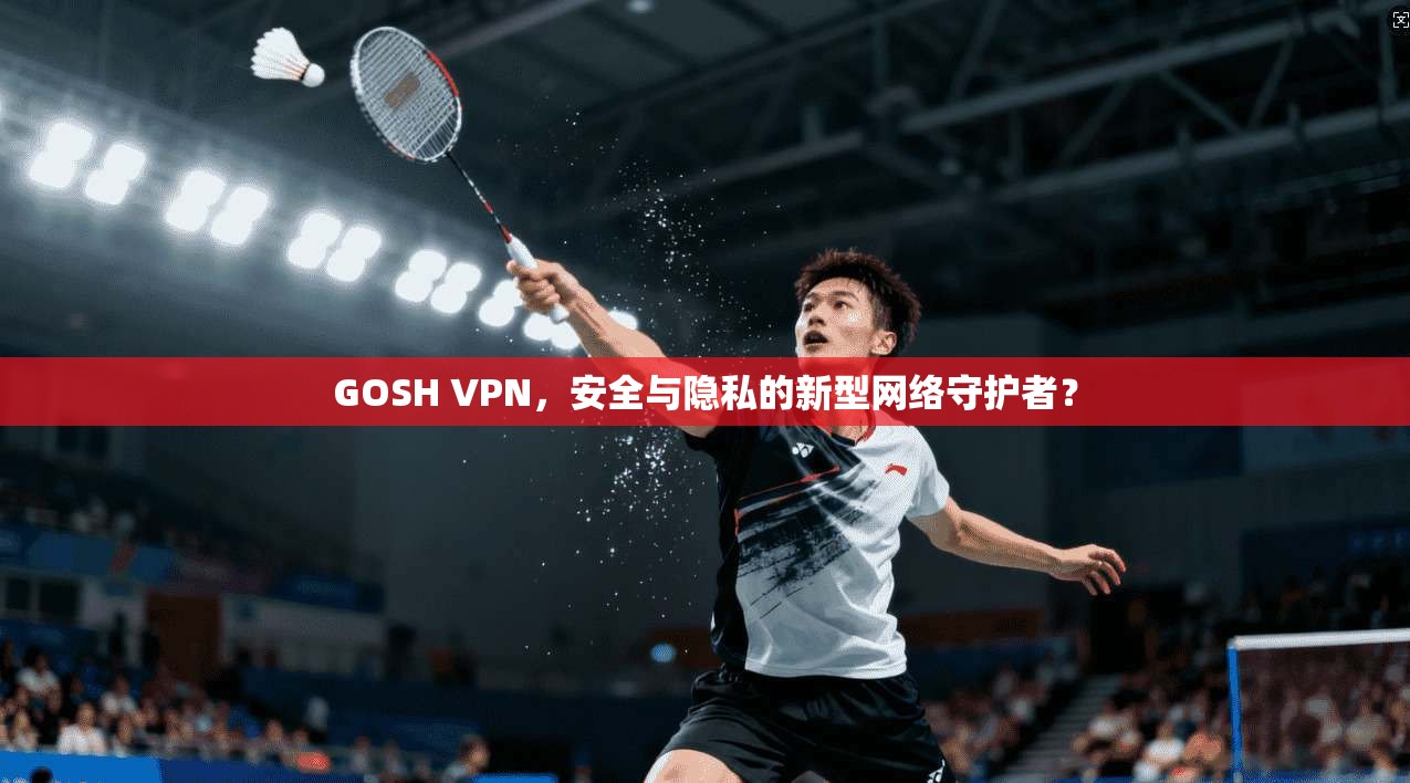 GOSH VPN，安全与隐私的新型网络守护者？  第1张