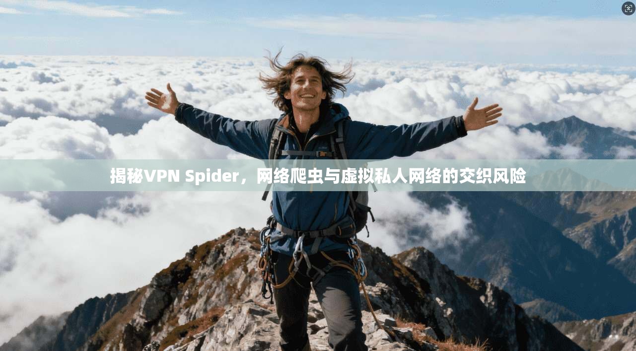 揭秘VPN Spider，网络爬虫与虚拟私人网络的交织风险  第1张