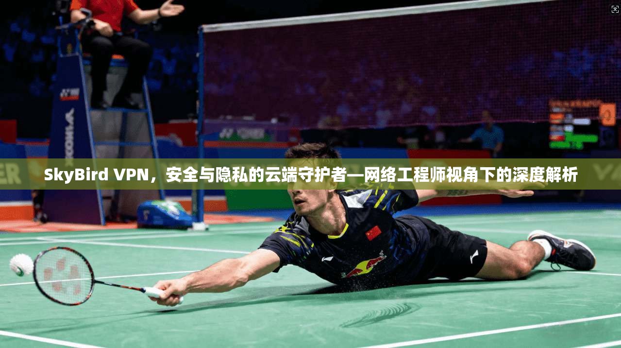 SkyBird VPN，安全与隐私的云端守护者—网络工程师视角下的深度解析  第1张