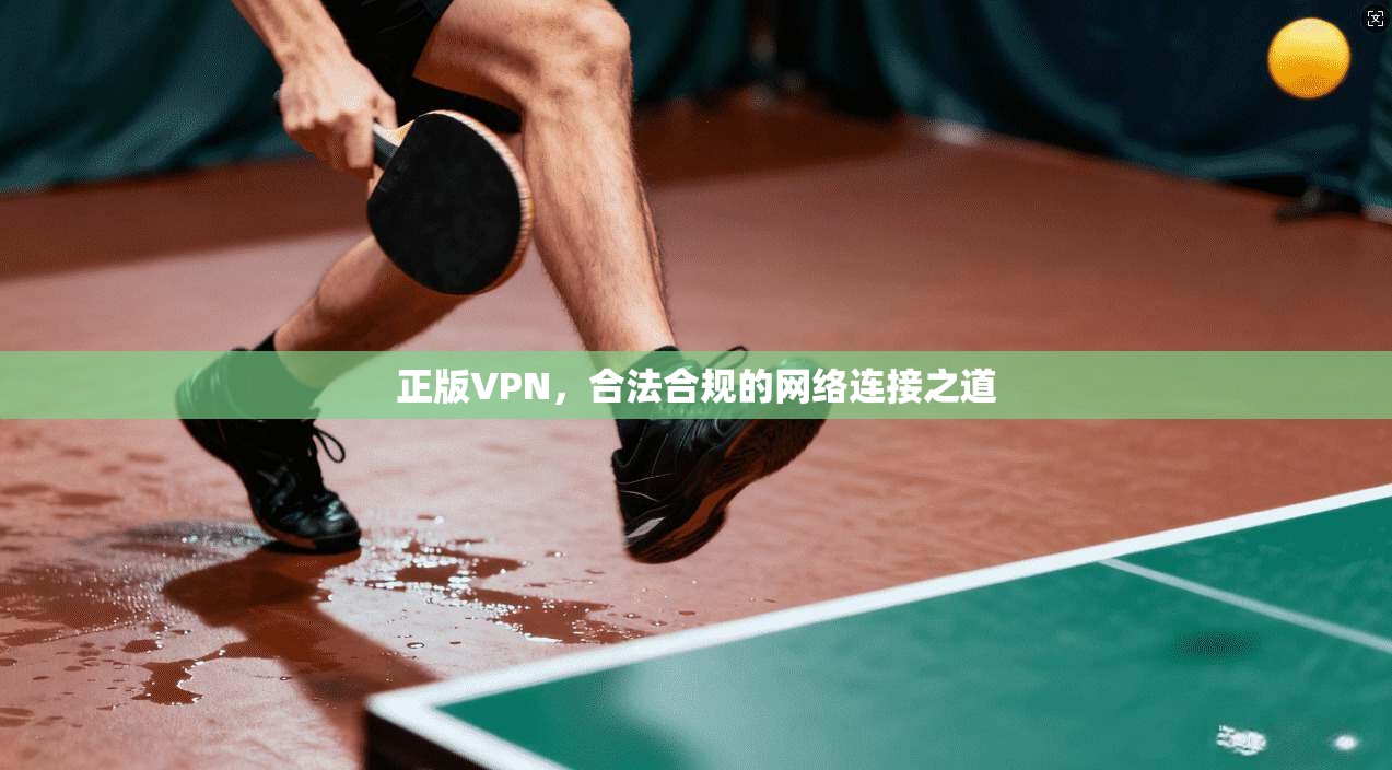 正版VPN，合法合规的网络连接之道  第1张