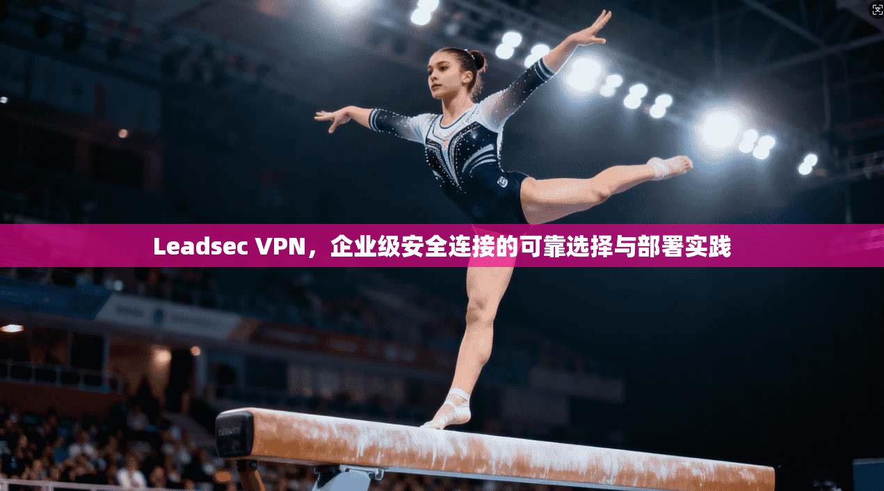 Leadsec VPN，企业级安全连接的可靠选择与部署实践  第1张