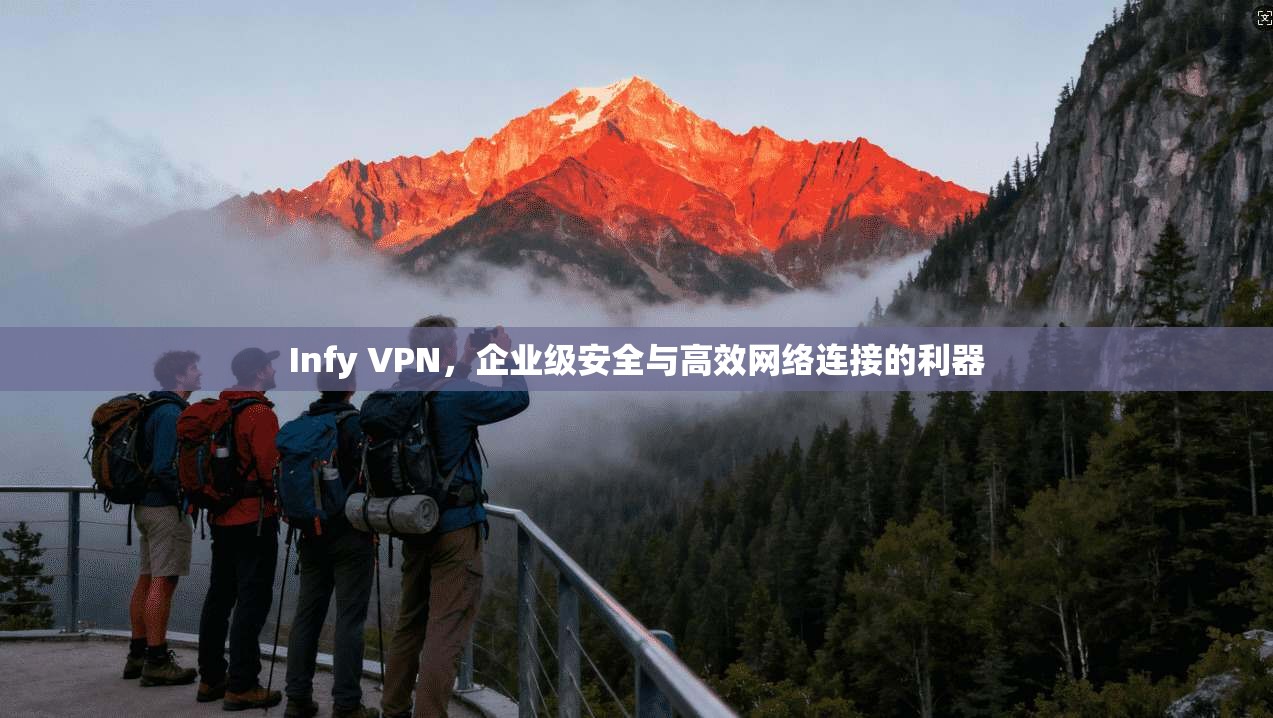Infy VPN，企业级安全与高效网络连接的利器  第1张