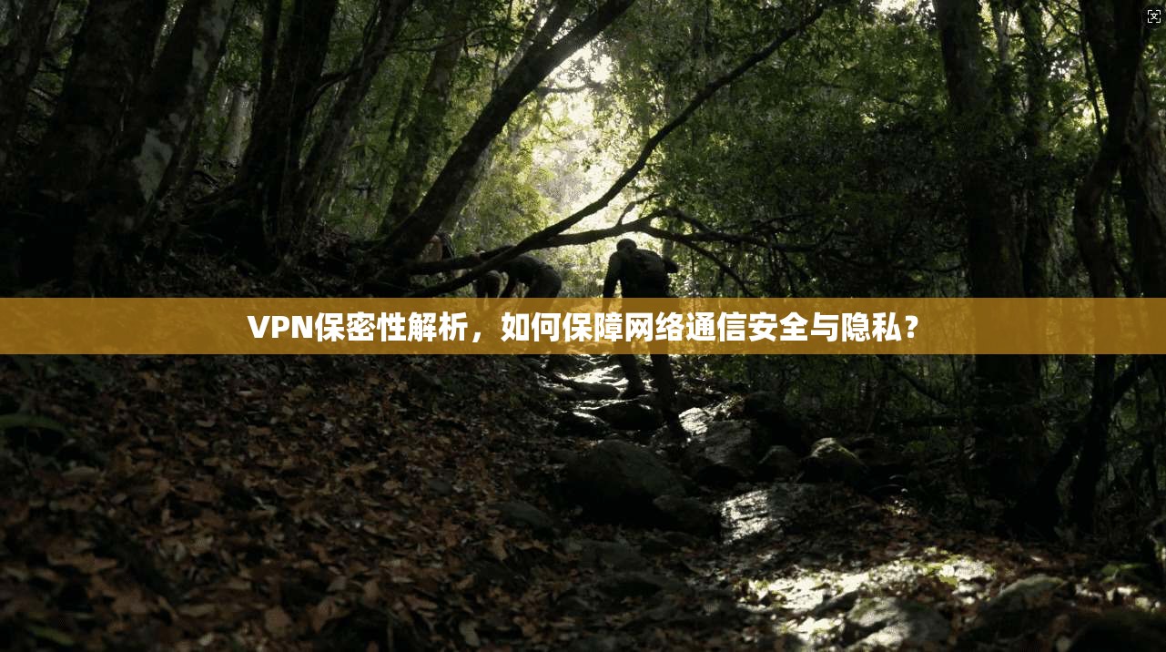 VPN保密性解析，如何保障网络通信安全与隐私？  第1张