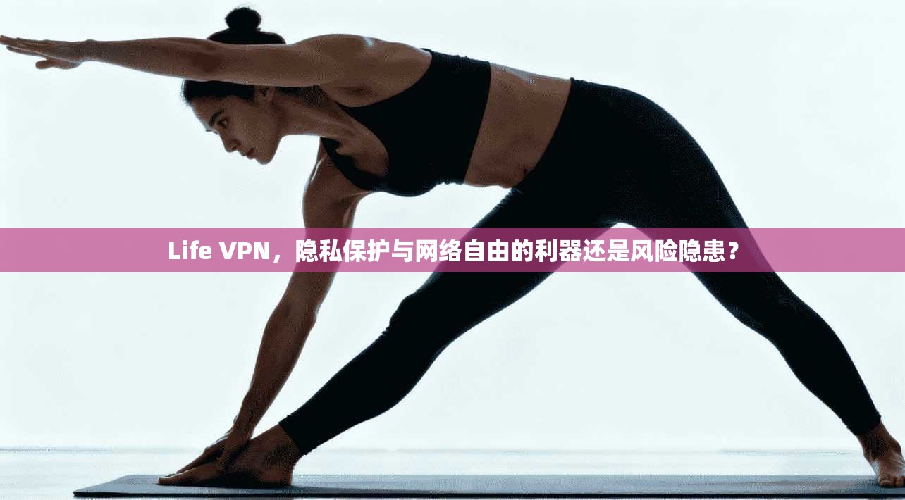 Life VPN，隐私保护与网络自由的利器还是风险隐患？  第1张