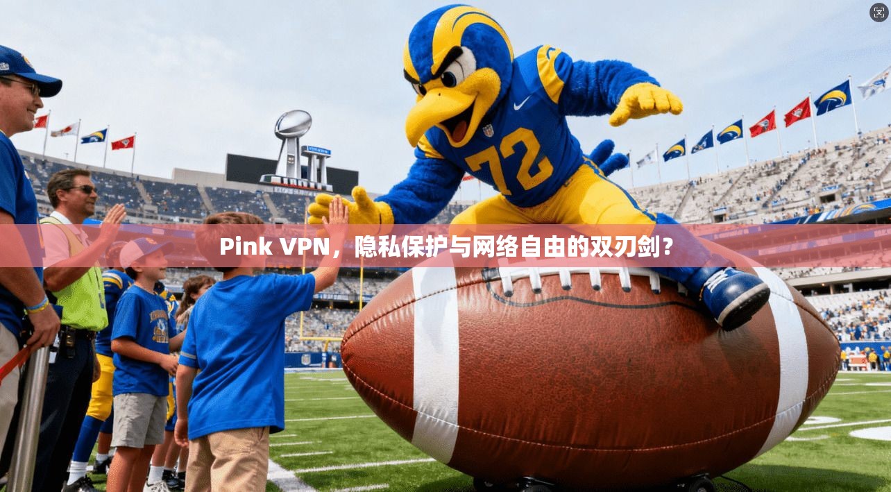 Pink VPN，隐私保护与网络自由的双刃剑？  第1张