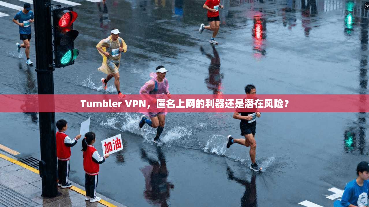 Tumbler VPN，匿名上网的利器还是潜在风险？  第1张